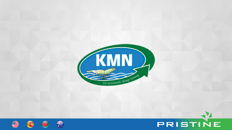 success-stories-kmn